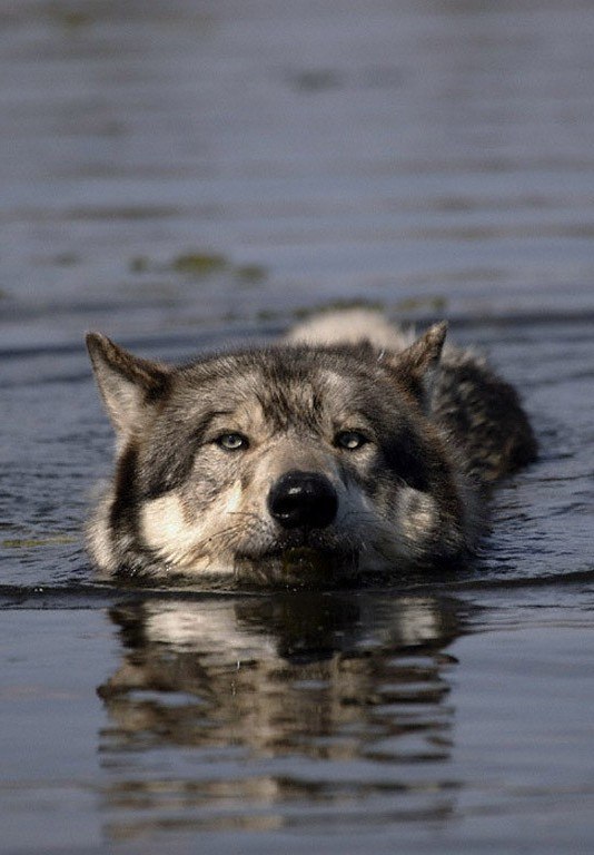 Соня Абросимова Error 404: Not Found | Киев