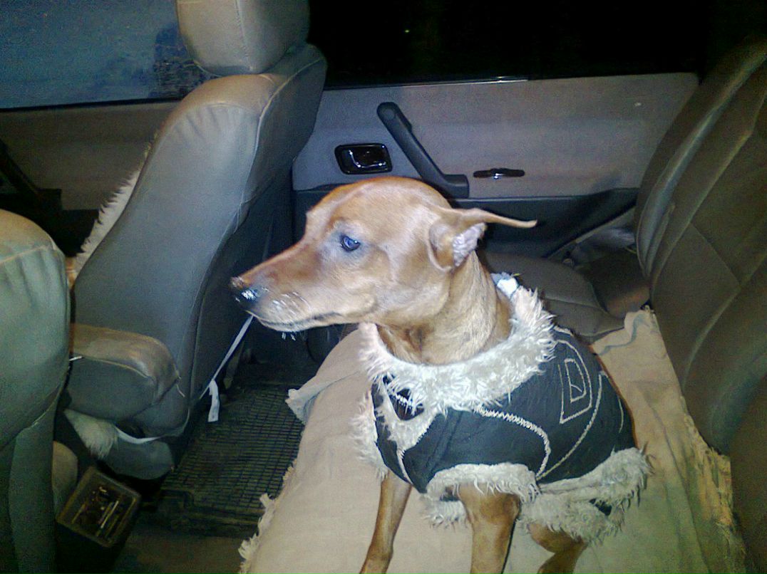 Эдуард Воропаев | Смоленск