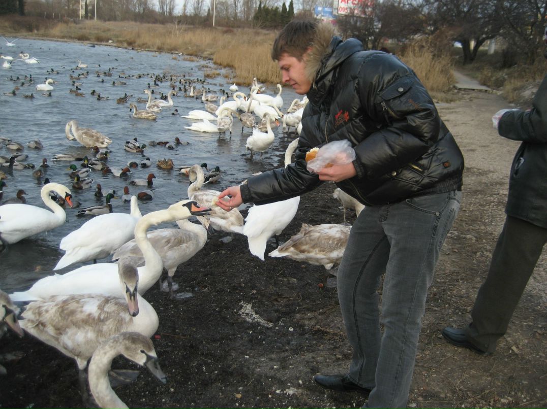 Александр Руденко | Севастополь