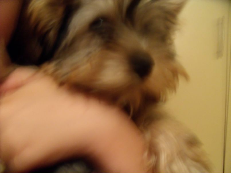 Алина Неустроева | Екатеринбург