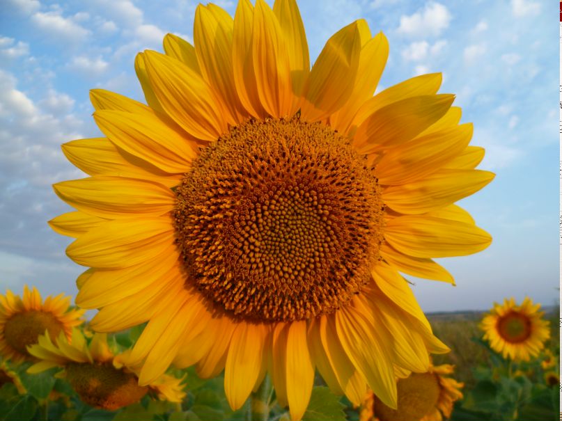 Елена Безгачева | Киров