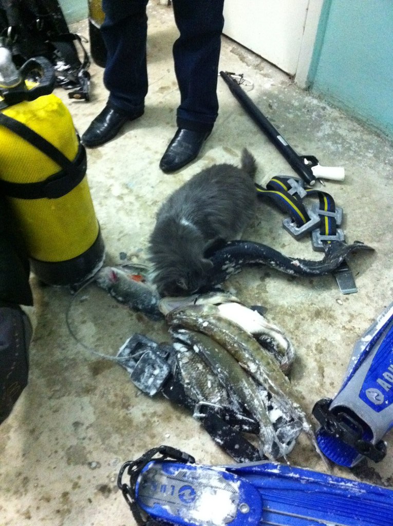 Сергей Беляков | Самара