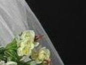 Елена Юр | Донецк