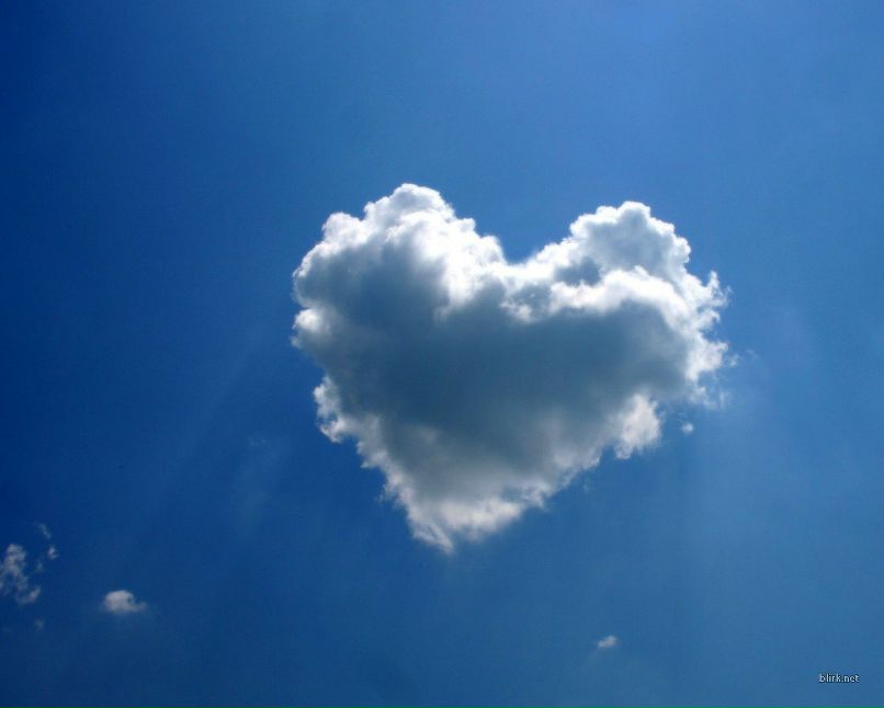 Алексей Домнин | New York City