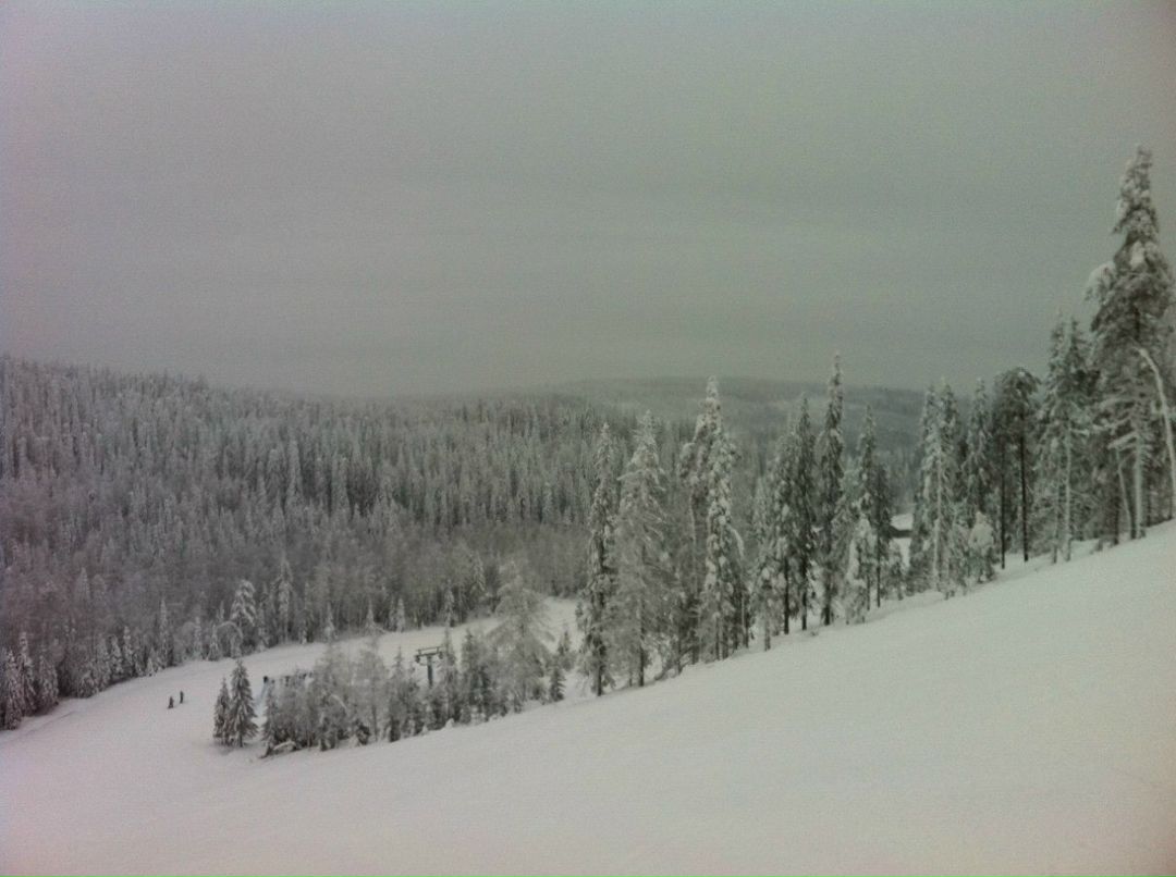 Александр Невский | 