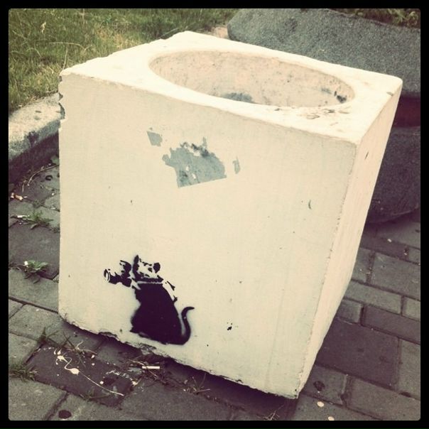 №9, Катерина Ковриженко, 37 лет, Киев №9, Катерина Ковриженко, 37 лет, Киев