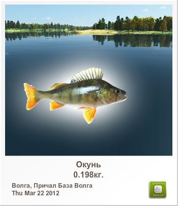 Александр Лисинюк | Киев