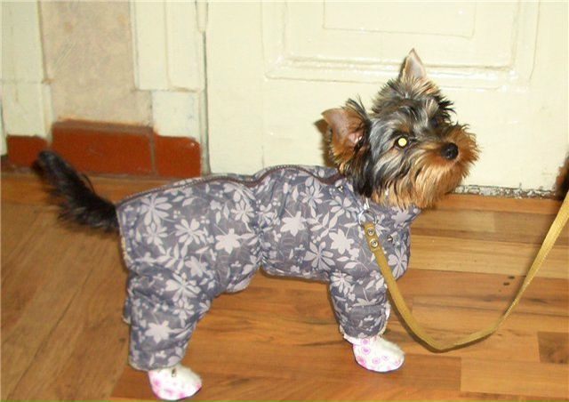 №13, Сергей Лопатюк, 50 лет, Санкт-Петербург №13, Сергей Лопатюк, 50 лет, Санкт-Петербург