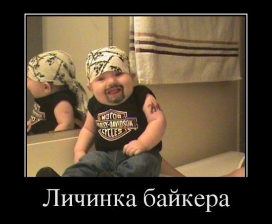 Александр Кучеров | Минск