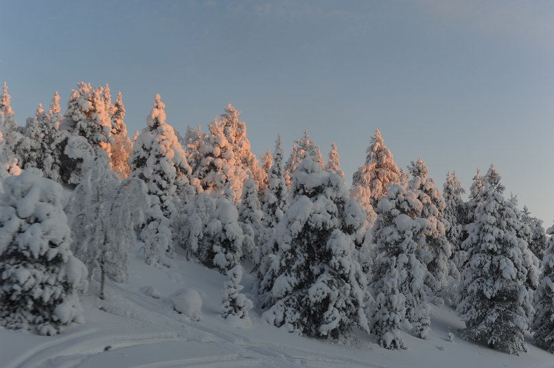 Вова Галайко | Москва