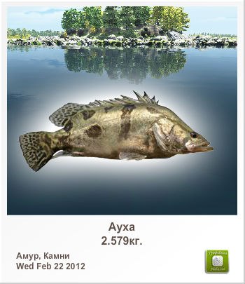 Денис Раевский | 