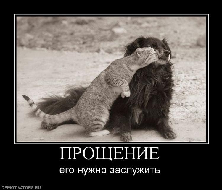 Андрей Тихонович | Минск
