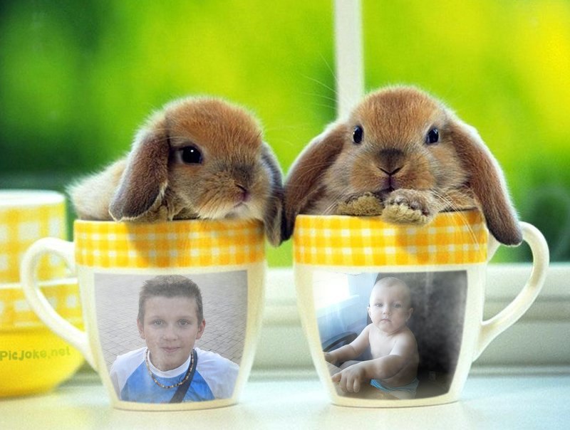 Натали Дзех | Донецк