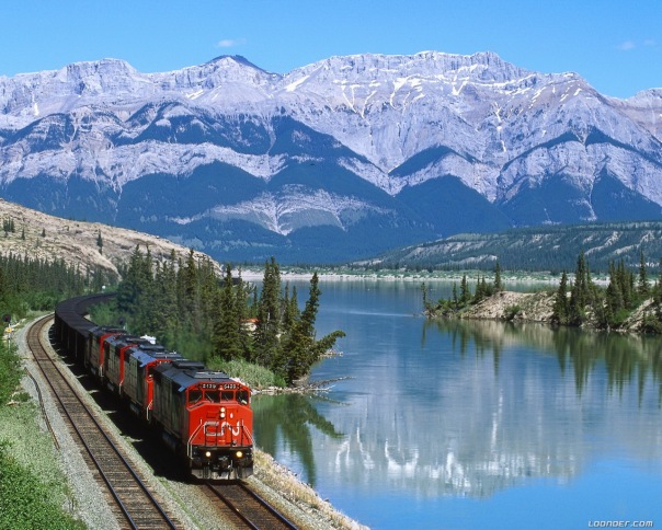 №15, Ирина Ткачева №15, Ирина Ткачева