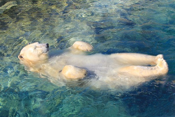 Мария Мишкина Рыжая_Совесть=) | Днепр (Днепропетровск)