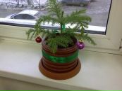 №31 Ольга Выжимова : профиль, фото, статус - ВКонтакте
