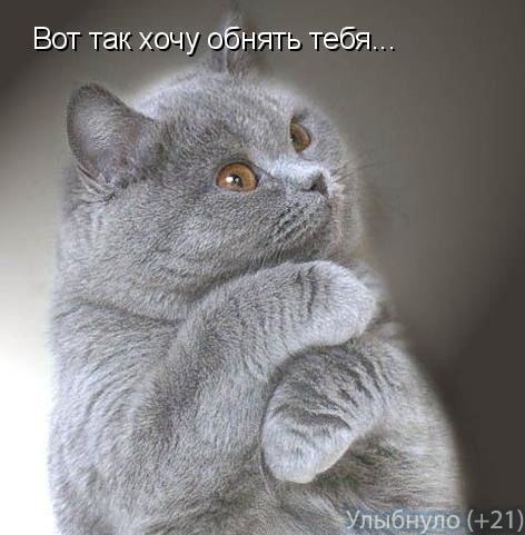 Максим Яковлев | Санкт-Петербург