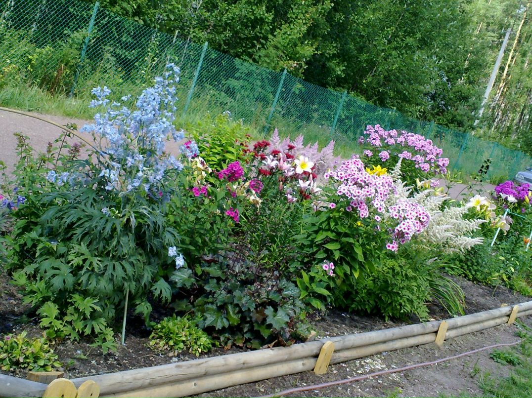 Юлия Романяк | Санкт-Петербург