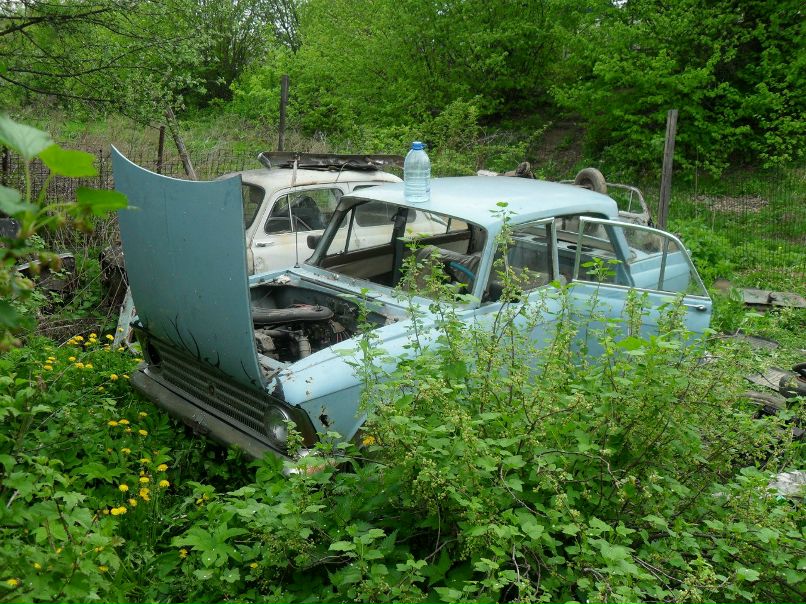 Алексей Арсеньев | Тула