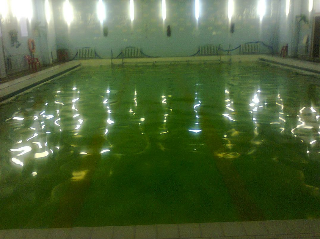 Дмитрий Робертович | Петрозаводск