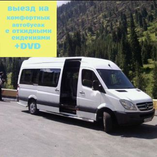 водитель категории с. грузовые перевозки визитка. водитель. работа водитель д межгород. водитель экспедитор.