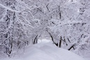 #hramchel #стихи_Конева_Ольга ТИШИНА Люблю я слушать тишину. Вы слышали её звучанье? В дали