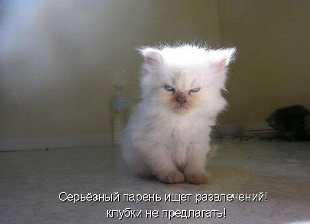 Виктория Петрова | Санкт-Петербург