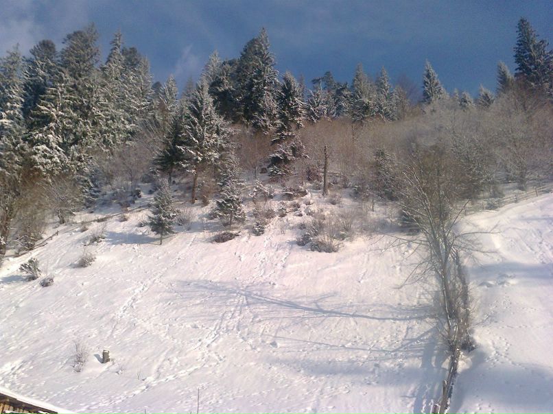 Юрій Фабрицій | Ужгород