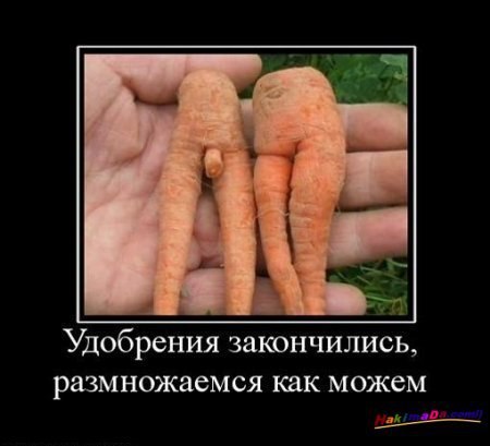 Александр Ермаков | Купино