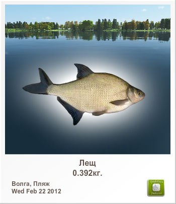 Den Super | Черкассы