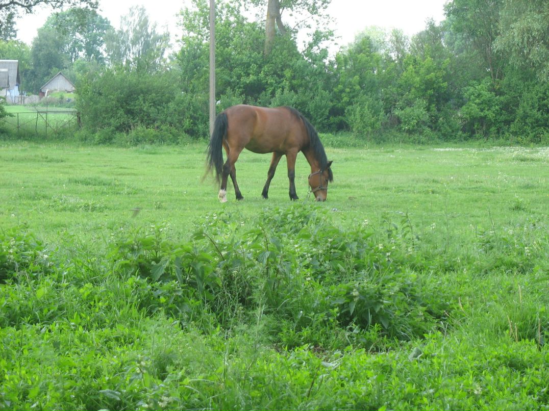 Богдан Капралёв Александрович | Мелитополь