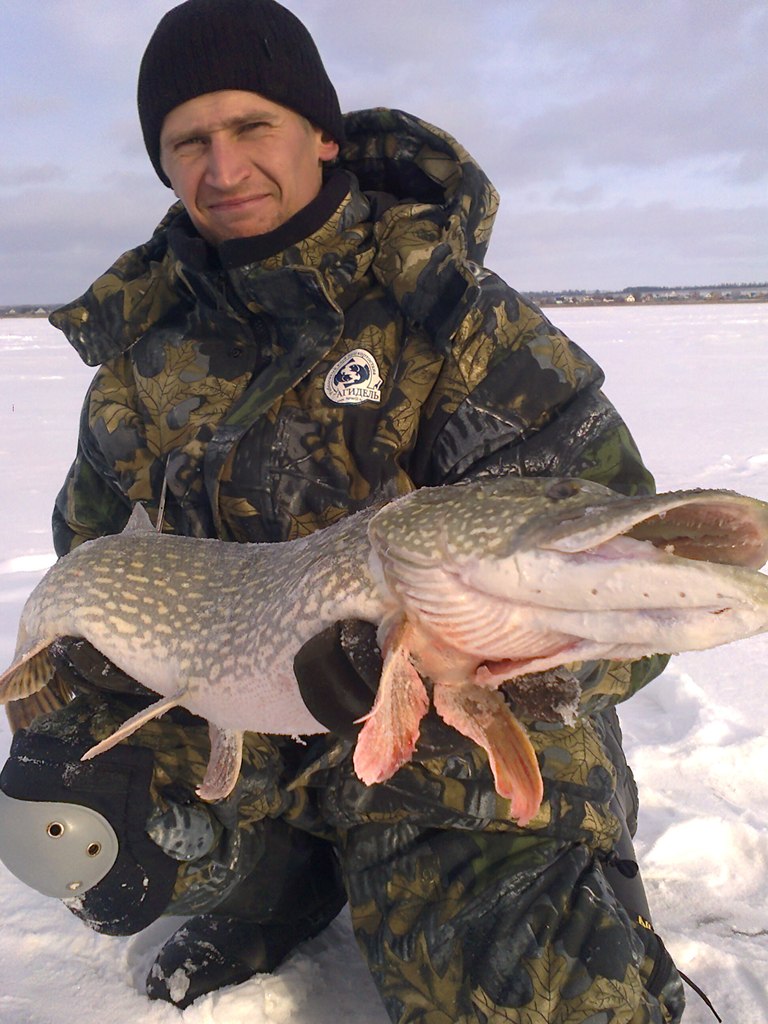 Константин Иванов | Стерлитамак