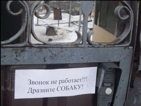 №97, Светлана Губко №97, Светлана Губко