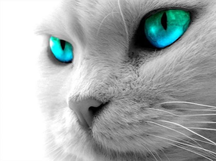 Екатерина Корвина | Нефтекамск