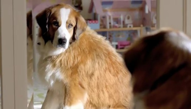 Евгений Анзин Олегович | Николаев