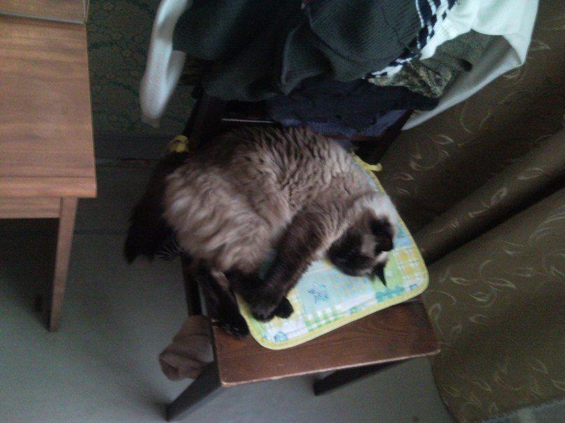 Кирилл Омелин | Марс