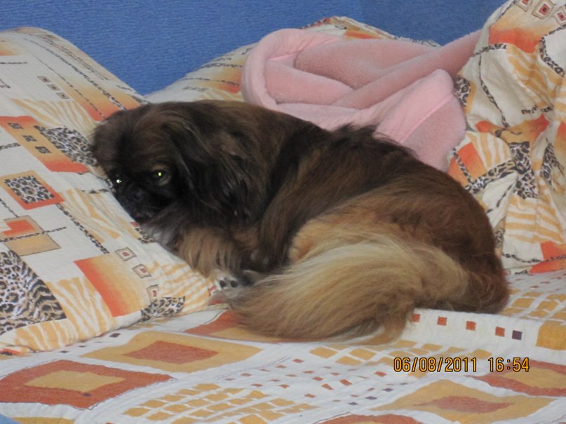 Юля Довганюк | Хмельницкий