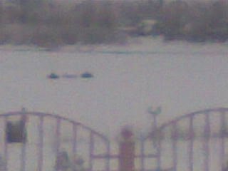 Алексей Жуков | Новосибирск