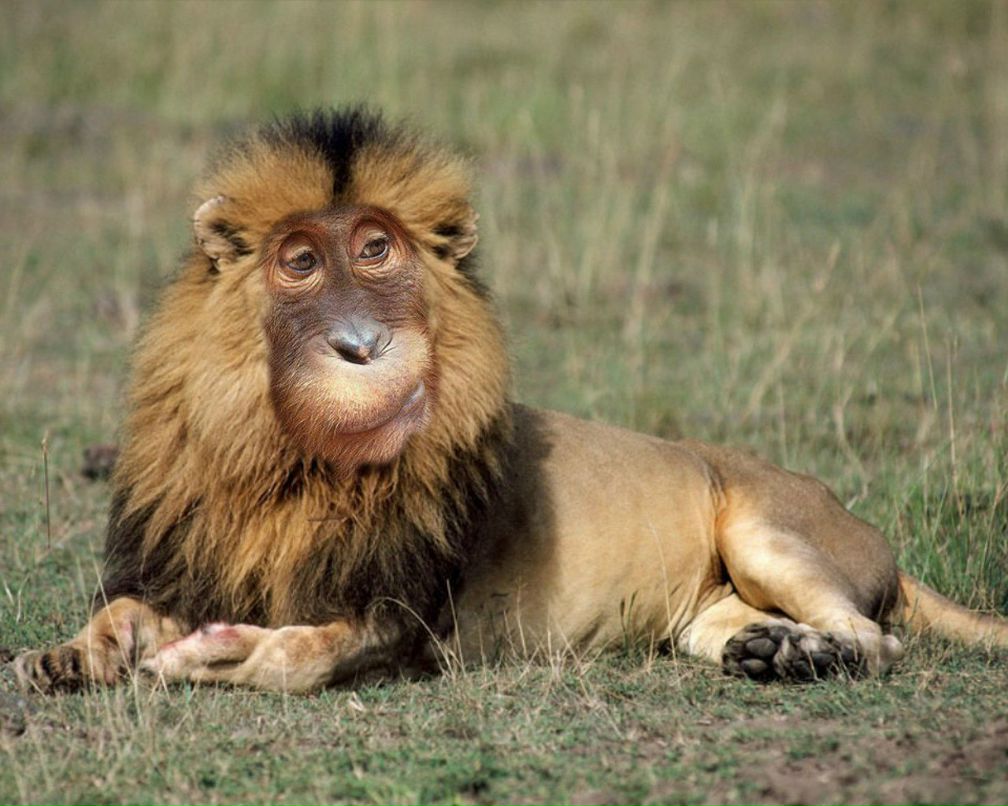 Александр Ушаков 