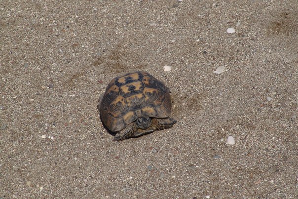 №76, Никита Лихачев, Санкт-Петербург №76, Никита Лихачев, Санкт-Петербург