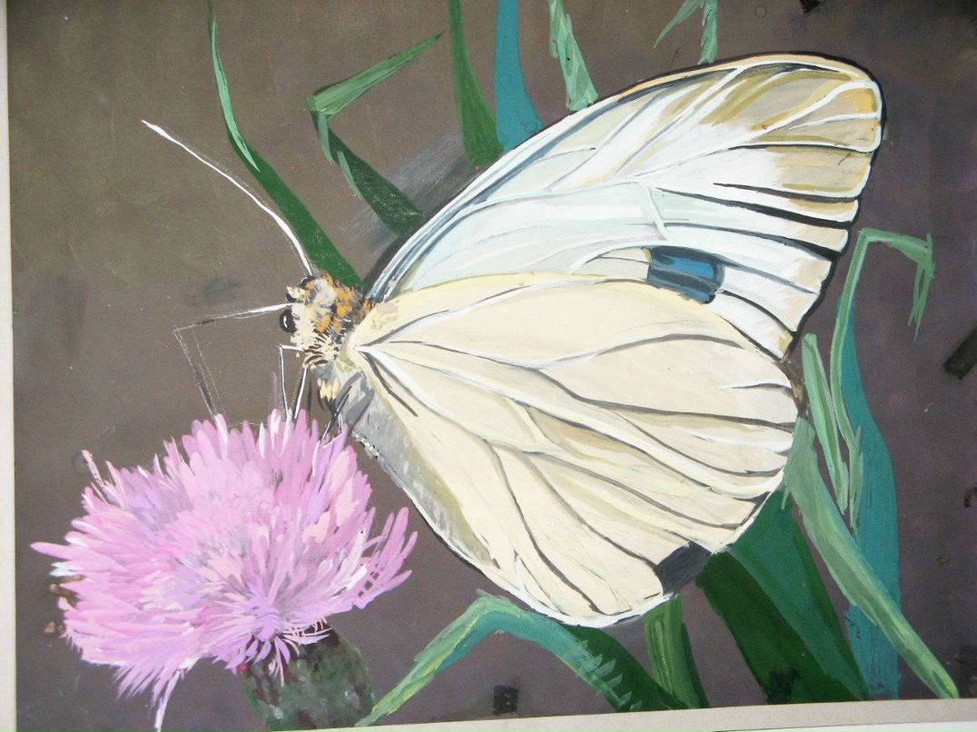 Катя Сторожук | Ирпень