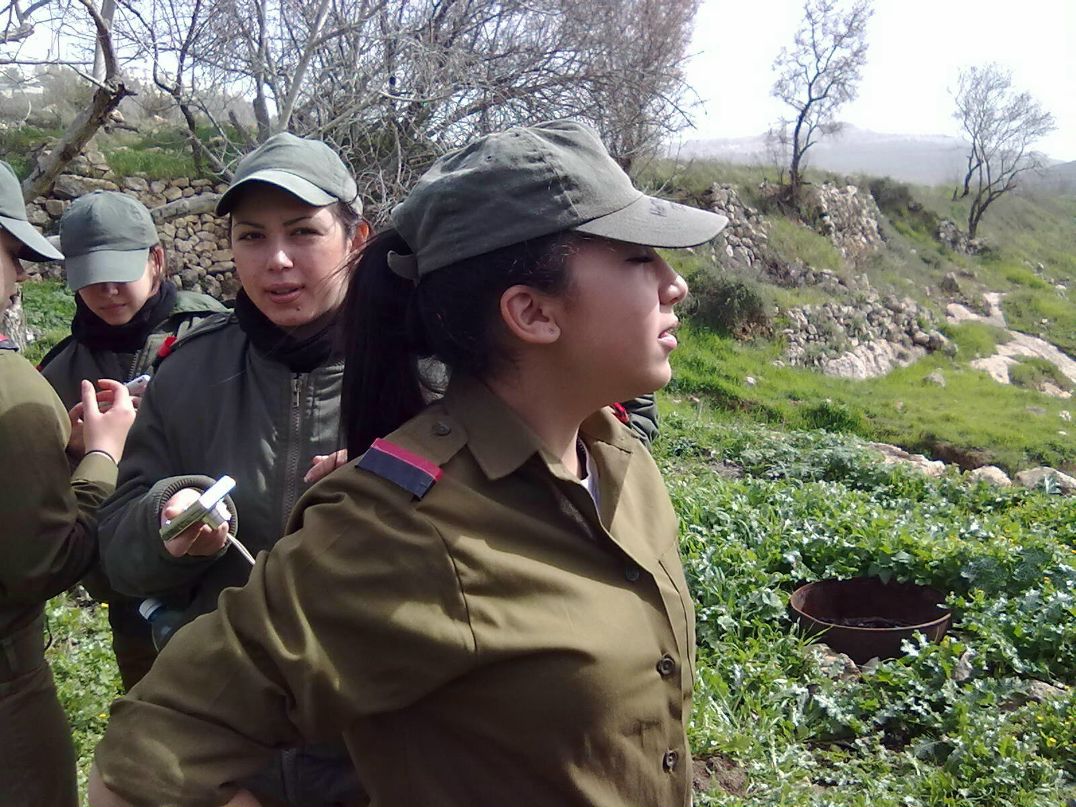 Ви Тамбиева | 