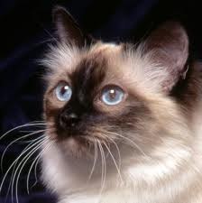 Кристина Макарова | Казань