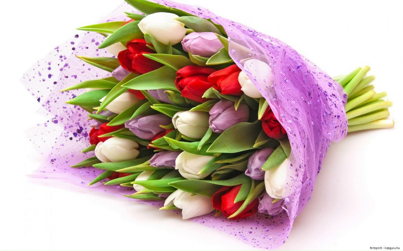 Светлана Будкевич | Москва