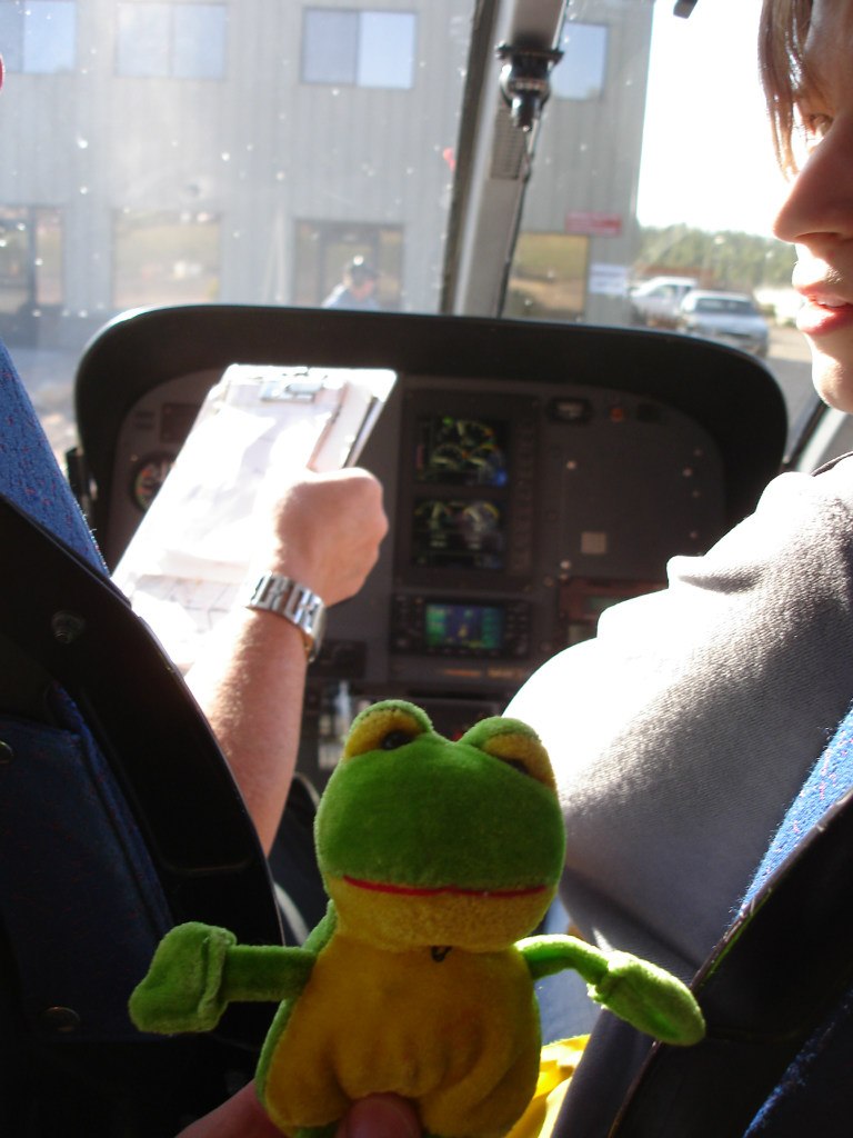 Лягуха Зырящая | Санкт-Петербург