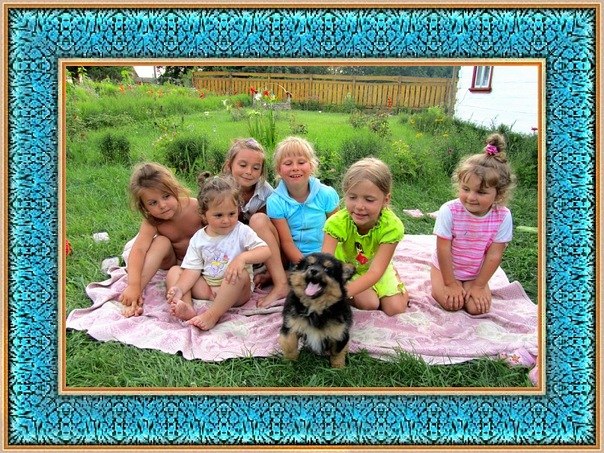 №35, Olena Lycyna, Львов №35, Olena Lycyna, Львов
