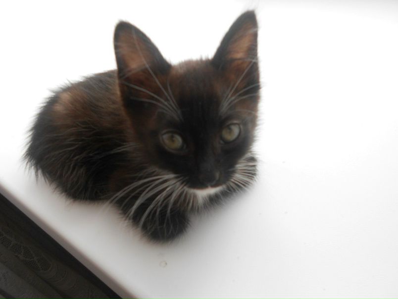 №38, Александр Паженский №38, Александр Паженский