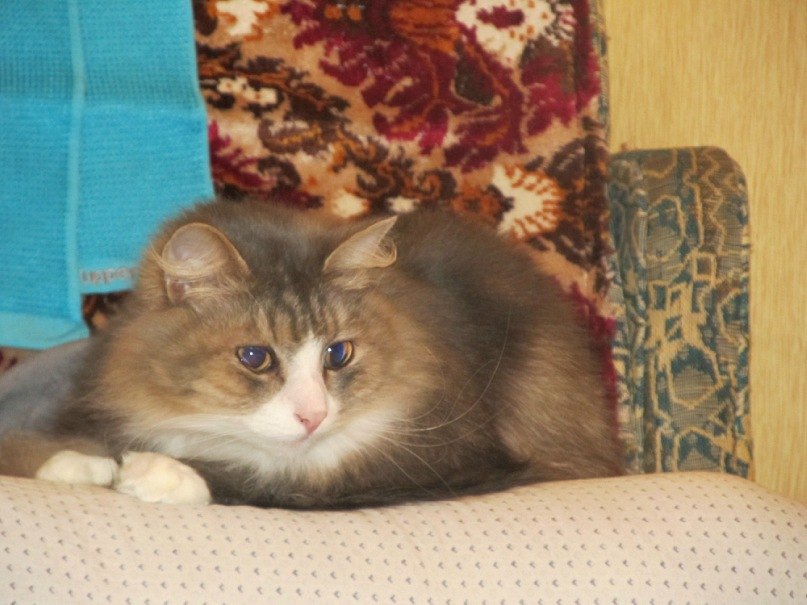 Ольга Богданова | Беломорск