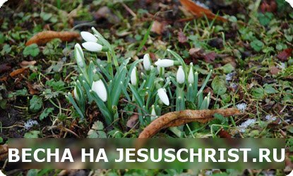 Наталя Яворська | Луцк