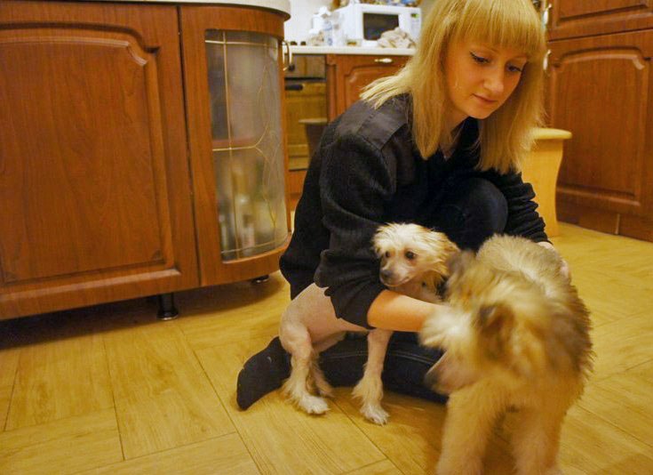 Ольга Шихова | Котлас